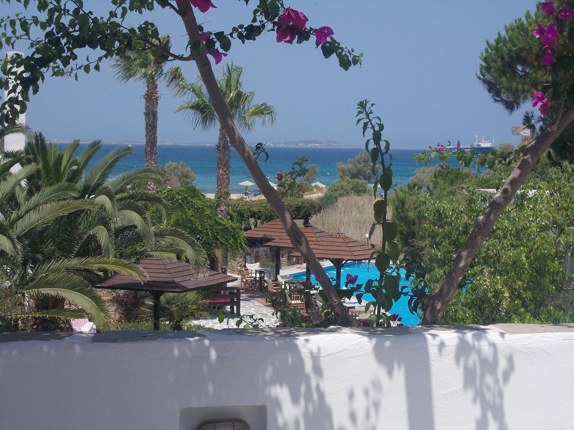 阿尔基尼海滩酒店 Naxos City 外观 照片
